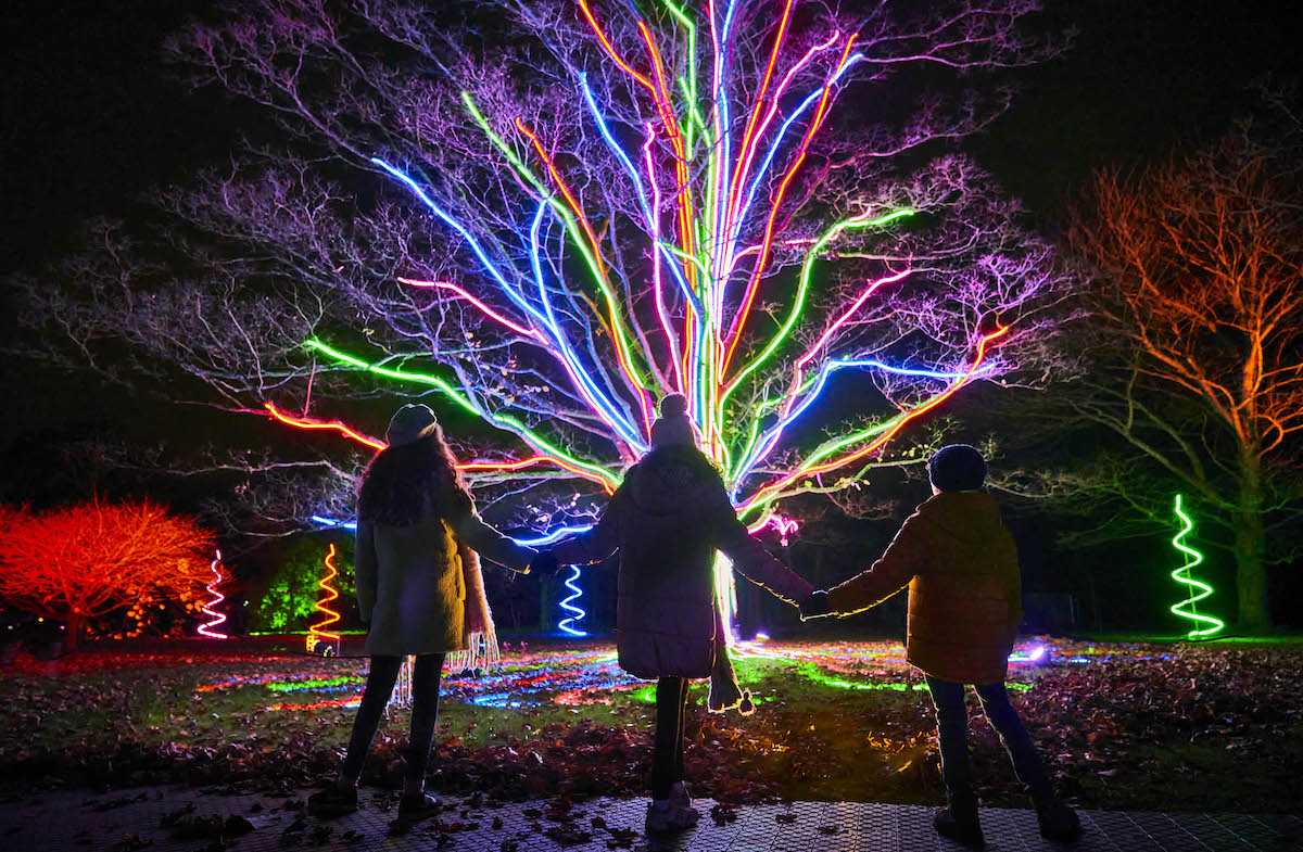 Hatfield Park’s Christmas trail opens with amazing fire garden