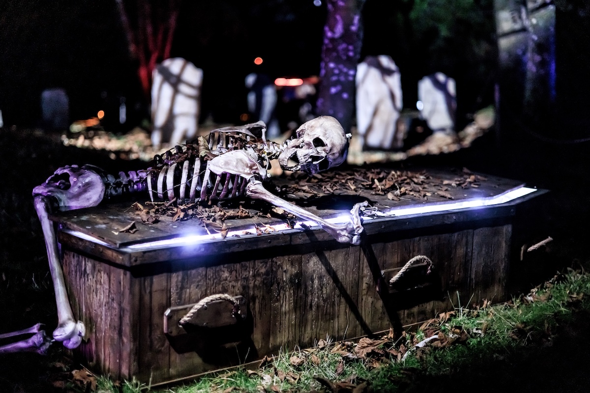 Halloween at Blenheim Palace 2025: A Trail of Chills & Thrills