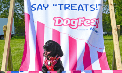 Small black terrier dressed as Toto for the lookalike contest at DogFest 2025