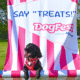 Small black terrier dressed as Toto for the lookalike contest at DogFest 2025