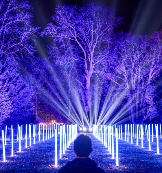 Christmas at Waddesdon Manor 2025: The Ultimate Festive Light Trail and European-Themed Experience in Buckinghamshire