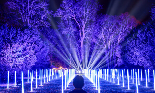 Christmas at Waddesdon Manor 2025: The Ultimate Festive Light Trail and European-Themed Experience in Buckinghamshire