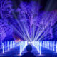 Christmas at Waddesdon Manor 2025: The Ultimate Festive Light Trail and European-Themed Experience in Buckinghamshire