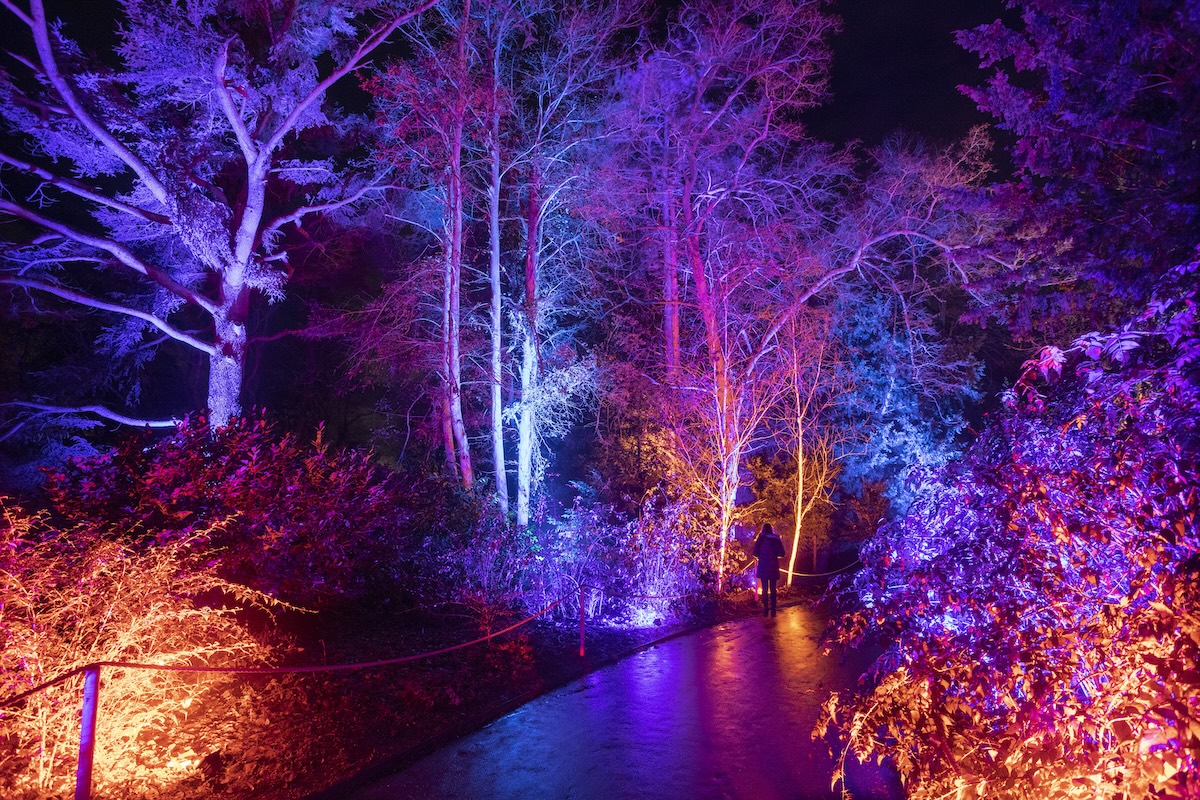 Christmas at Waddesdon Manor 2025: Winter Light trail