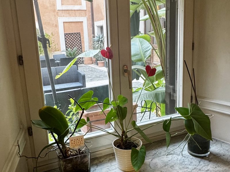 Garden courtyard in central Rome with greenery and historic architecture